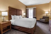 Comfort Inn & Suites at Stone Mountain