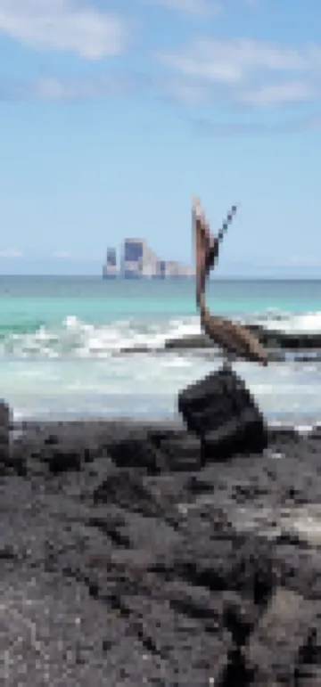Galápagos Eco Friendly