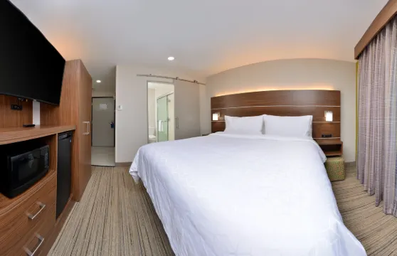 聖羅莎北智選假日酒店