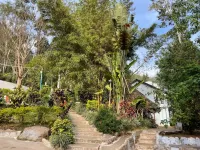 Seattle Garden