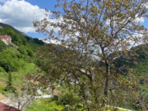 Bizim O'ra Küme Evleri & Bungalov Hotels in Macka