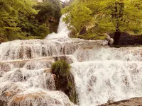 La Tahona