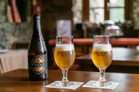 切迪拉 - 創意之家飯店 洛薩住宿飯店