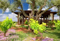 Chateau Roslane Boutique hotel & Spa Hôtels à proximité de : Volubilia-Domaine de la Zouina