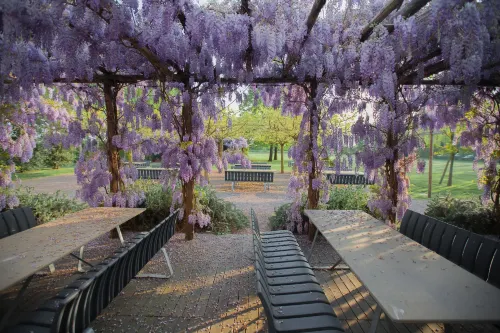 Farm House Hotels in Meolo