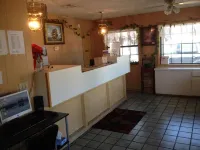 아메리칸 드림 인