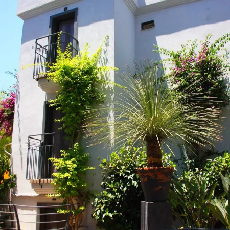 Elista Hotel & Spa