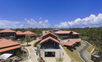 THE HIRAMATSU HOTELS & RESORTS GINOZA