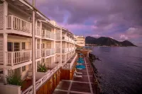 Fort Young Hotel Hotels in Roseau