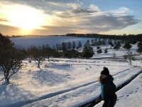 The Carew Arms Hotel a Kilve