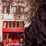 科特飯店 帕爾馬市政廳（Palma Town Hall）附近的飯店