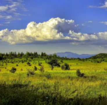 Apartments Sarajevo City Hall