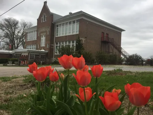 Davie School Inn Hotels in Anna