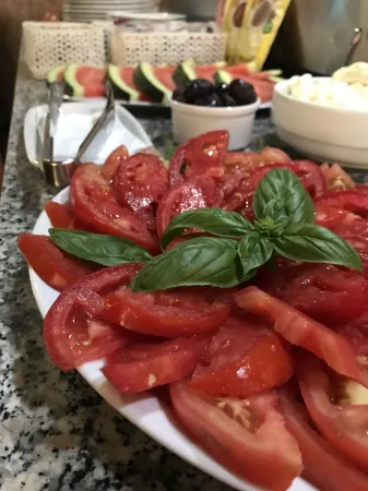 Heartland City B&B Отели в г. Тузла