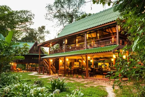 Our Jungle House