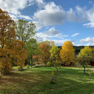 Mamma Carinas Pensionat B&B