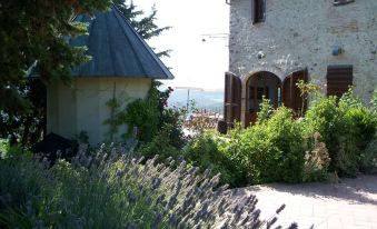 B&B la Fonte del Machiavelli