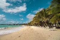 Hotel Reina del Mar by Dorado - Beach