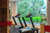 Hotel Laghetto Siena Gramado - Gym