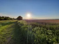 The Comfort of This Cottage Merges with Nature Hôtels à : Holbaek