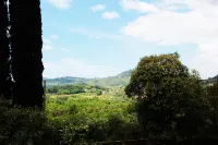 派多娜度假屋 - 山景