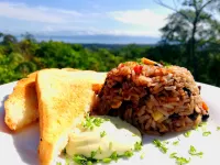 Corcovado Private Villas Hotels in Puerto Jimenez