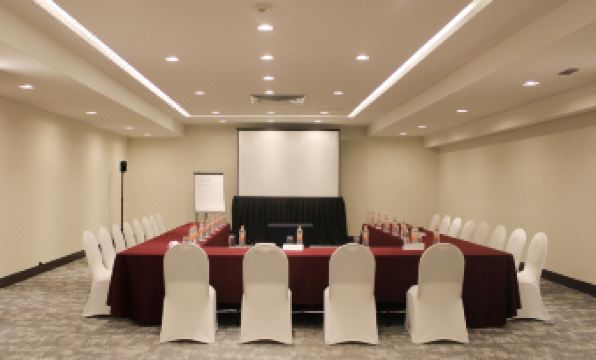 Holiday Inn MEXICO DALI AIRPORT by IHG