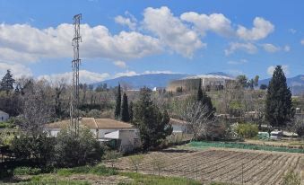 Vega de la Reina