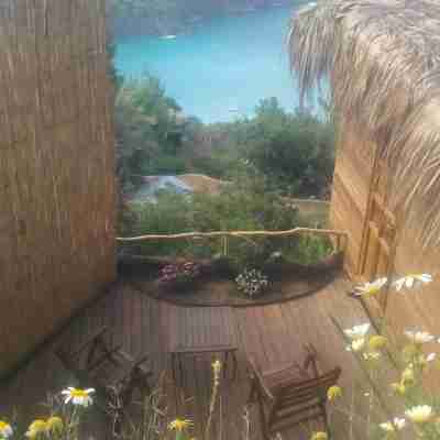 コック カンプ Hotel Exterior