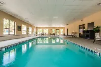 Hampton Inn Dickson Hotels in Dickson