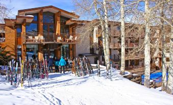 Mountain Chalet Snowmass