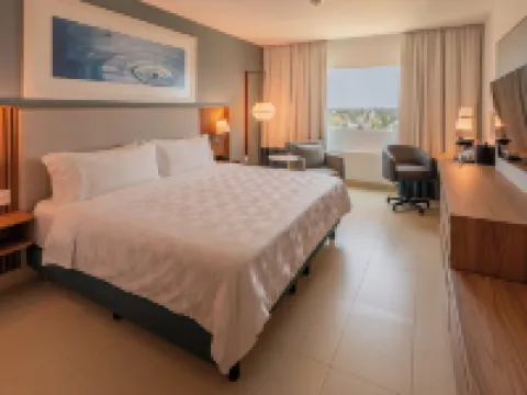 阿卡普爾科拉島假日酒店 阿卡普爾科酒店