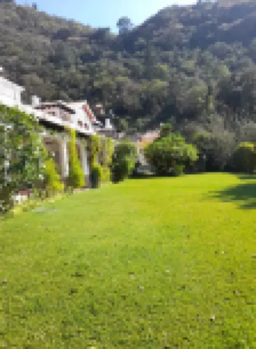 Hotel y Jardines Casa Búho