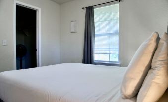 Cozy Home- Zoos Museums Fun Step From Your Door