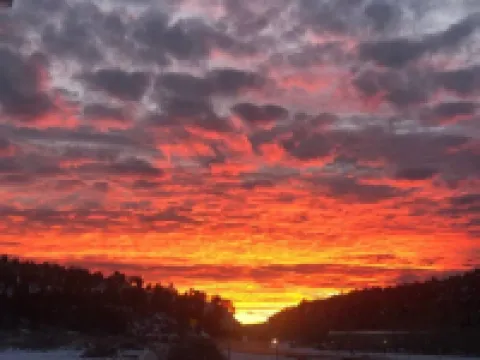 Mini farmhouse style container Homes #4