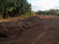 Canto da fé