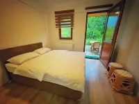 Zufer Pansiyon Hotels in Caykara