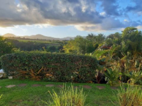 CITRONELLA APARTMENT