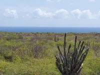 Tropical Oasis-Spacious home, pool & sea views! Water and electricity included. Hotels in Grote Berg