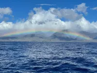 Maui Rainbows And Waves! ~Gorgeous Oceanfront!  ~ 2 Bdrm ~Corner Unit with A/C