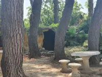 Hotel Garden Hotels near Monte Zara