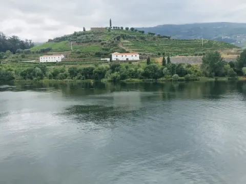 Historic center apartment in the heart of the city Peso da Régua- Douro Hotels in 