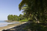Peaceful ocean view Home in  Ballena Marine National Park.  Walk to Beaches.