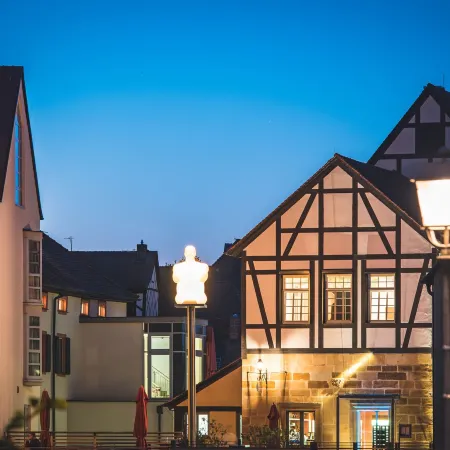 Hotel Nepomuk