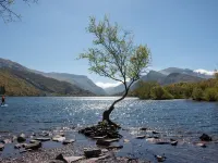 Fir Tree Cottage Hotels in Llanberis