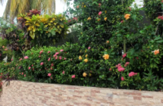 Hotel Sol del Oriente Pucallpa