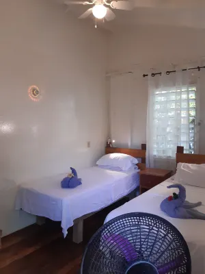 The Funky Dodo Backpackers Hostel โรงแรมใน