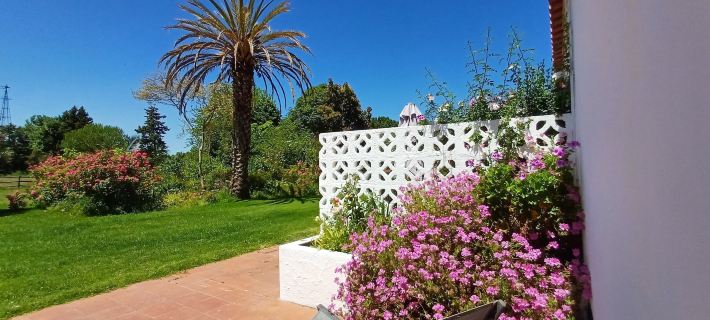Monte Da Serralheira Agro Turismo Hotel di Évora