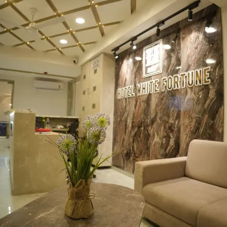 Hotel White Fortune Отели в г. Банаскантха