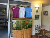 Sugarloaf Lodge Hotel a Ramrod Key